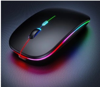 Mouse